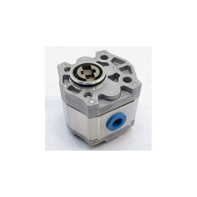 BOSCH GEAR PUMP 1517 222 454