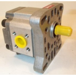 P1BAN1002CL20-C01 HYDRAULIC PUMP