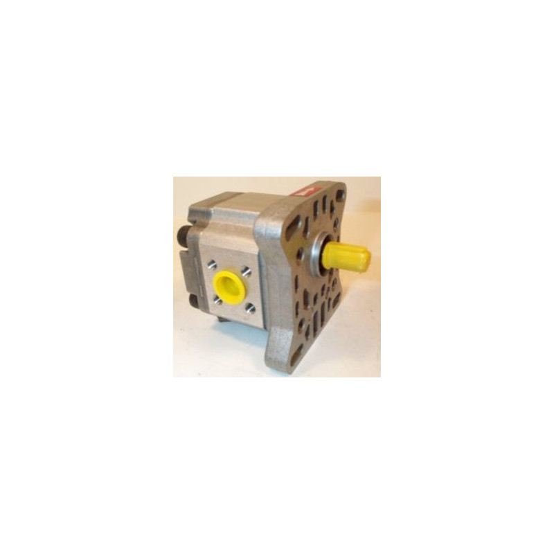 P1BAN1002CL20-C01 HYDRAULIC PUMP