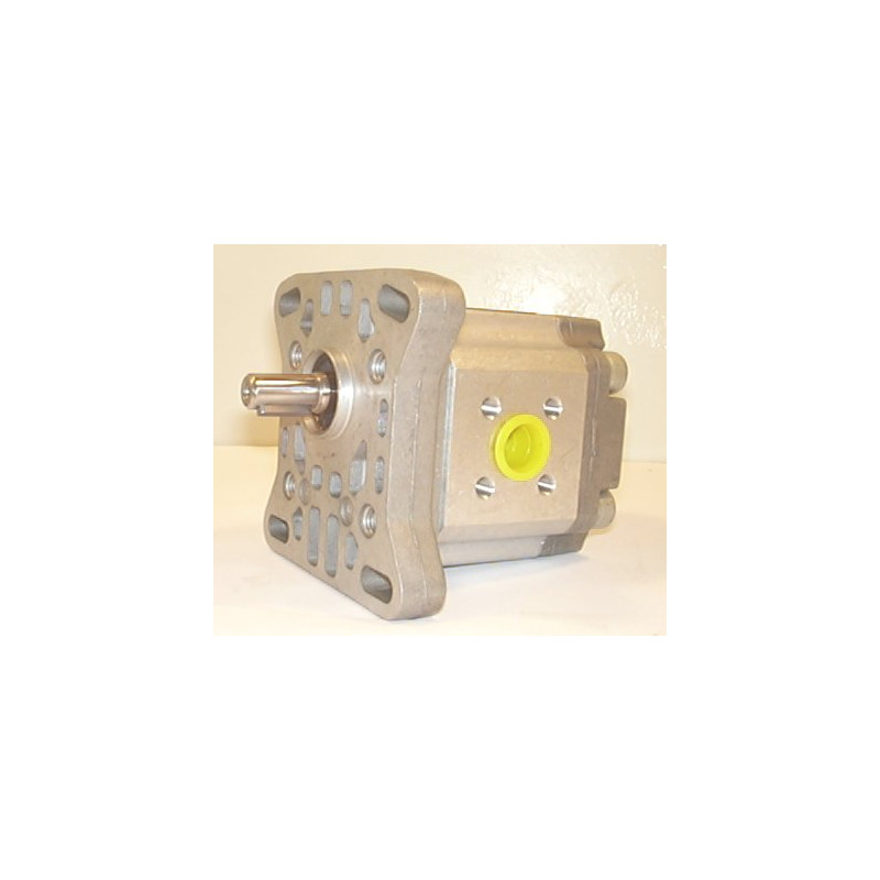 P1BAN1004CL20-C01 HYDRAULIC PUMP