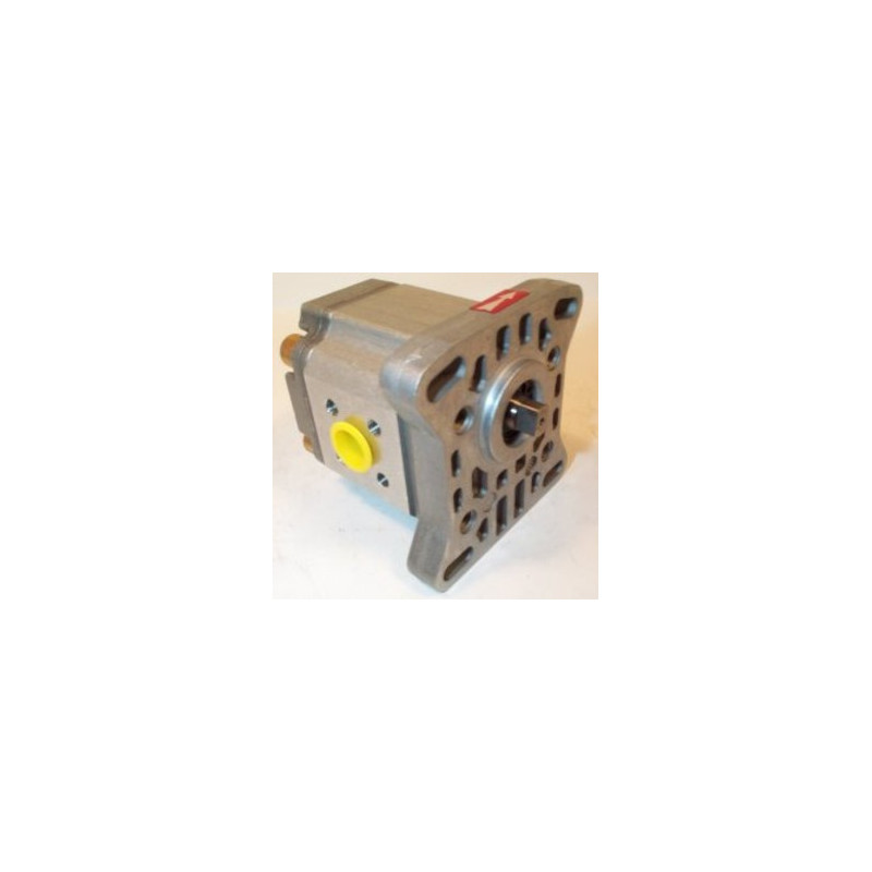 P1CBN1006CL40 HYDRAULIC PUMP