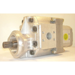 P1ABS3031HA2022HL30-A02 PUMP