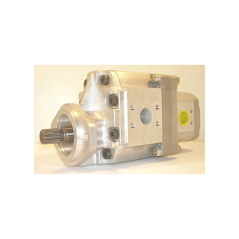 P1ABS3031HA2022HL30-A02 PUMP