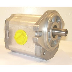 SNP2 C19L CI06 HYDRAULIC GEAR PUMP