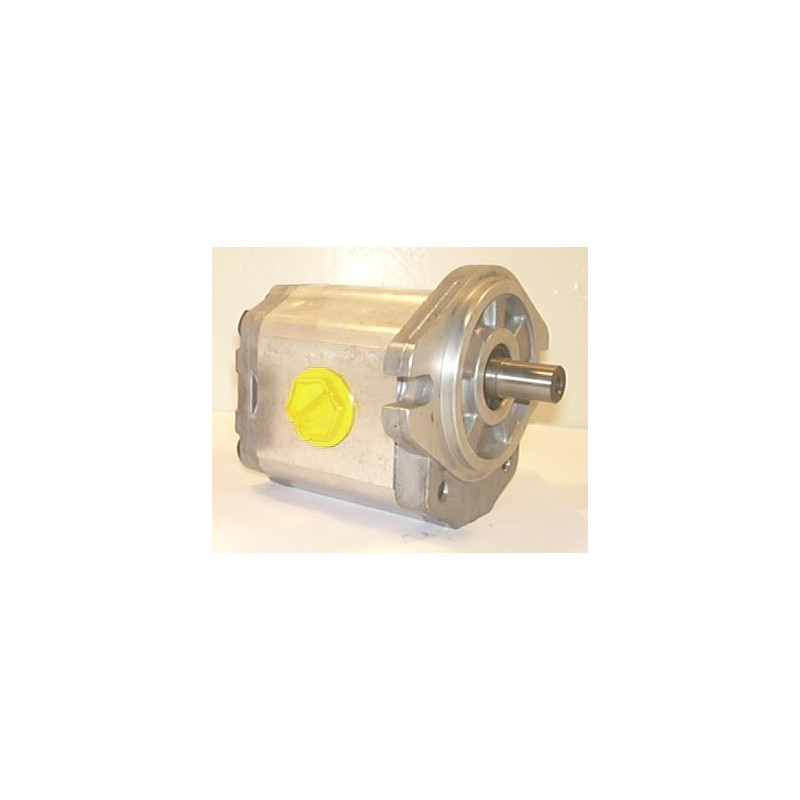 SNP2 C19L CI06 HYDRAULIC GEAR PUMP