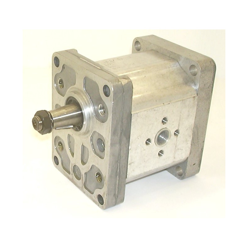 SNP2 C19L C031 HYDRAULIC GEAR PUMP