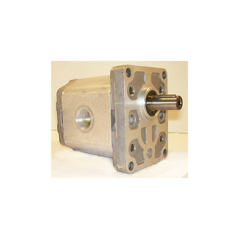 SNP2 C22L CI01F HYDRAULIC GEAR PUMP