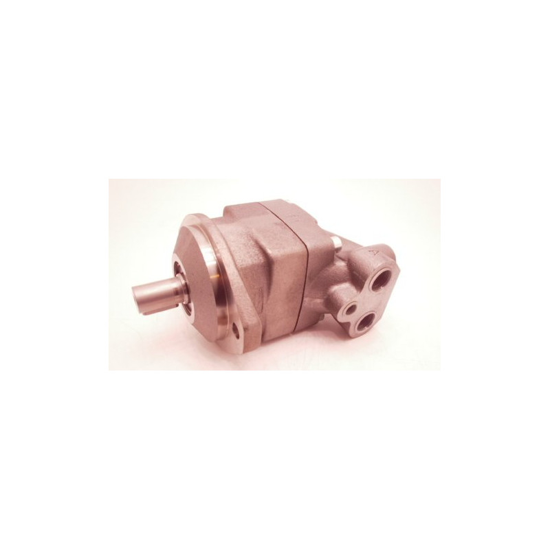 F11-019-MB-CV-K-000-0000-00 Parker No.3707893Replaces F11-019-MB-CH-K-000-0000HYDRAULIC PISTON MOTOR