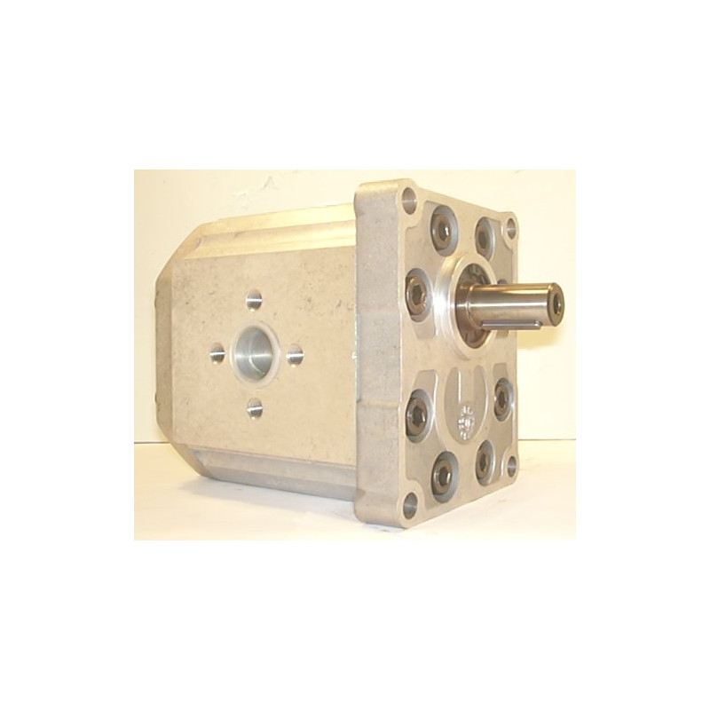 SNP3 55S CI01 HYDRAULIC GEAR PUMP