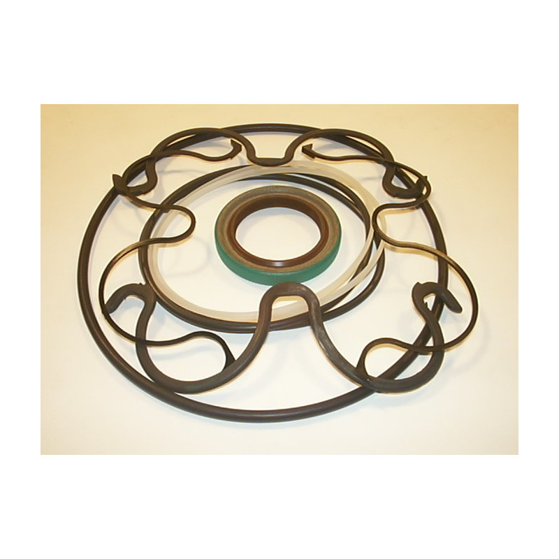 PAP2200 PLAIN BEARING SEAL KITS