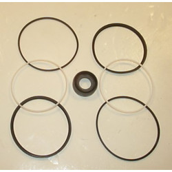 TFP 100 PARALLEL SHAFT SEAL KT