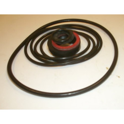 SEAL KIT FOR MF/LEYLAND PUMP