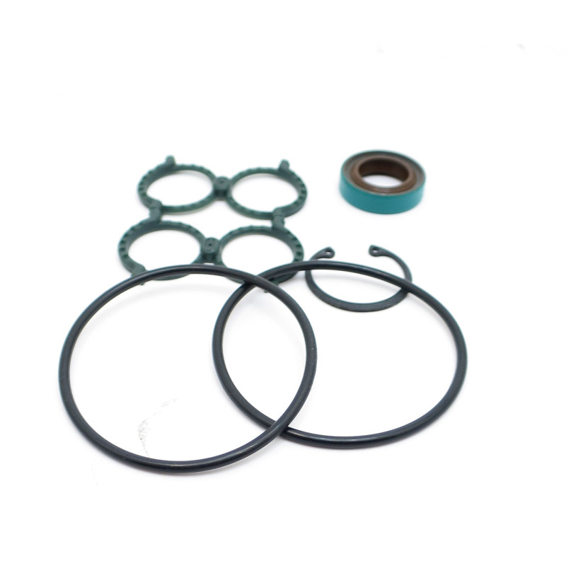 W600 BI-ROTATIONAL MOTOR SEAL KIT