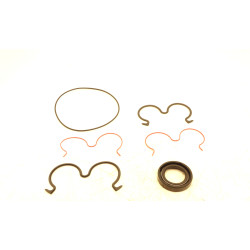 FP30 PUMP SEAL KIT