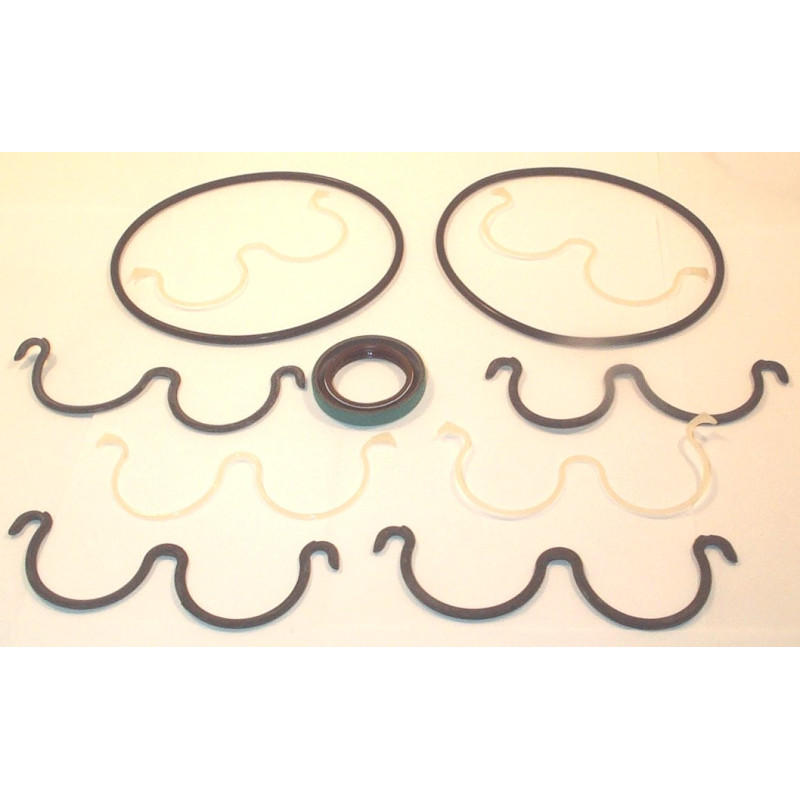 P2APJ 1900 PLAIN BEARING SEAL KIT**