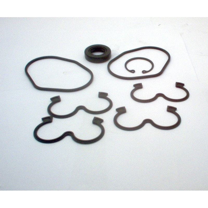 DSG05 SERIES SEAL KIT