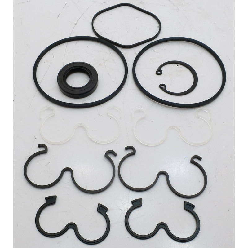 SDY SERIES SEAL KIT 403-21742