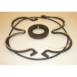 STALLION PC PUMP SEAL KIT