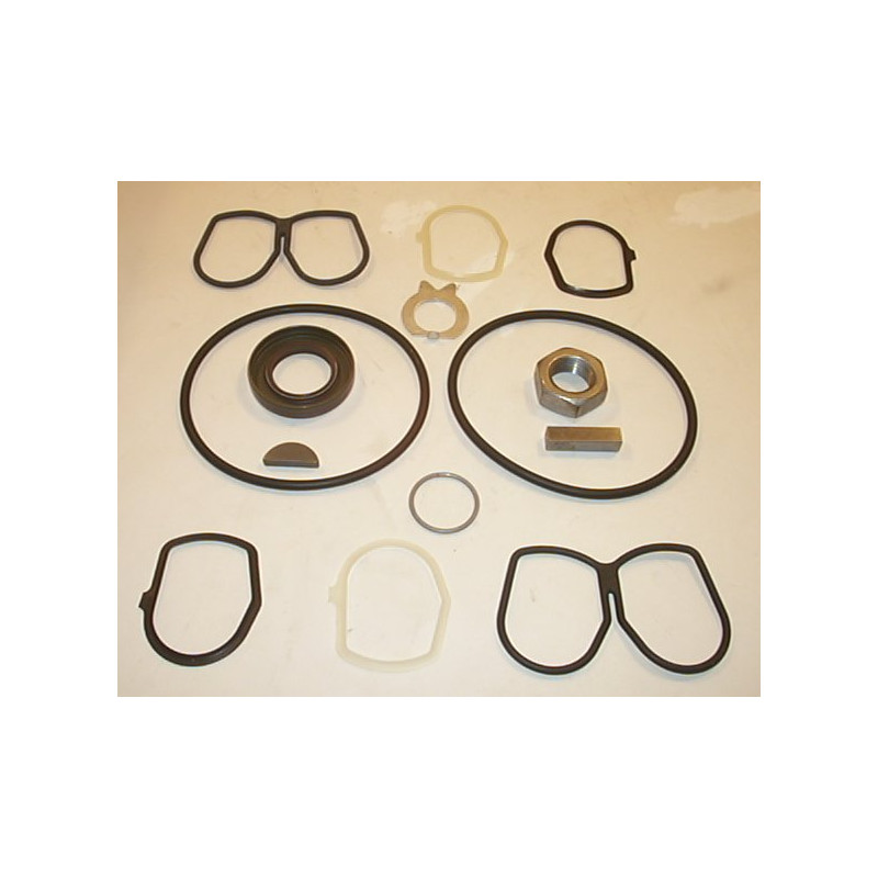 2PL VITON SEAL KIT