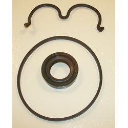 GP2 250 BAR SEAL KIT