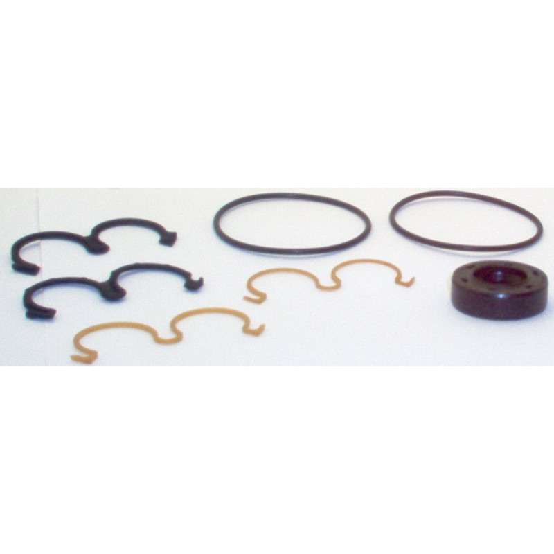 SKP1 NITRILE SEAL KIT