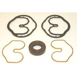 SNP1 01 VITON SEAL KIT