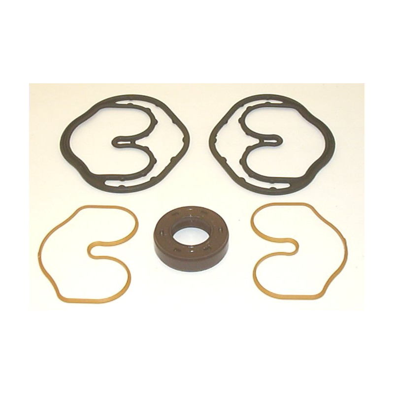 SNP1 01 VITON SEAL KIT