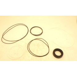 TAP 60-200  **02 2 BOLT C  SEAL KIT