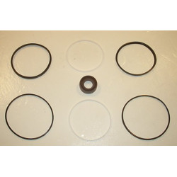 TFP 100 TAPER SHAFT SEAL KIT