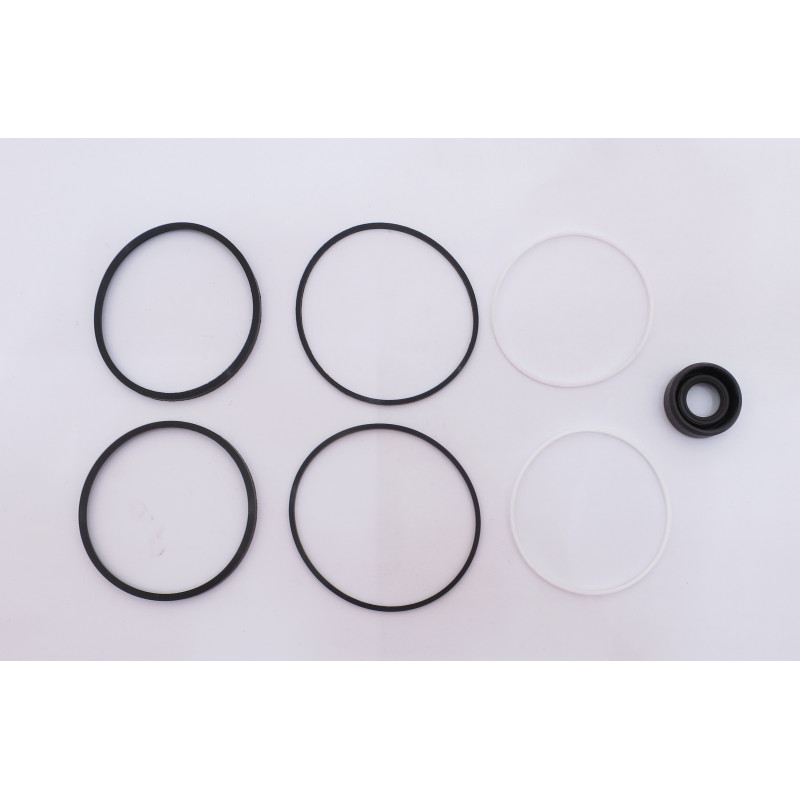 TFP 100 TAPER SHAFT VITON SEAL KIT