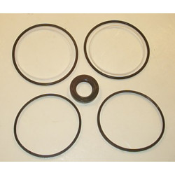 TFP 200 SEAL KIT***