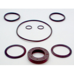 DOWTY GRP2 SEAL KIT