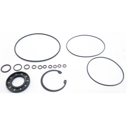 EATON 420 SERIES  / 421AK  SEAL KIT WITH VITON / FLUROCARBON SHAFT SEAL