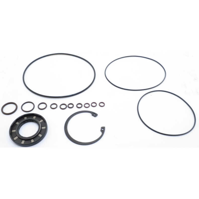 EATON 420 SERIES  / 421AK  SEAL KIT WITH VITON / FLUROCARBON SHAFT SEAL