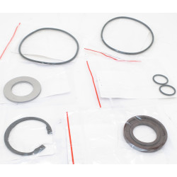 F11-019 (H) SAWMOTOR PTFE SEAL KIT Sealing kit type S PTFEHYDRAULIC PISTON PUMP COMPONENT