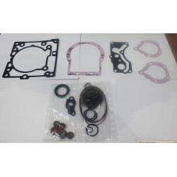 SERIES 42P28 COMPLETE SEAL KIT HYDRAULIC PISTON PUMP COMPONENT