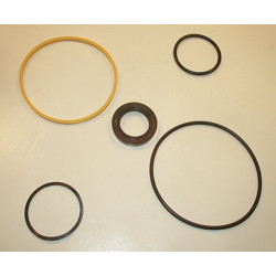 20V BUNA SEAL KIT  497125N HYDRAULIC VANE PUMP COMPONENT