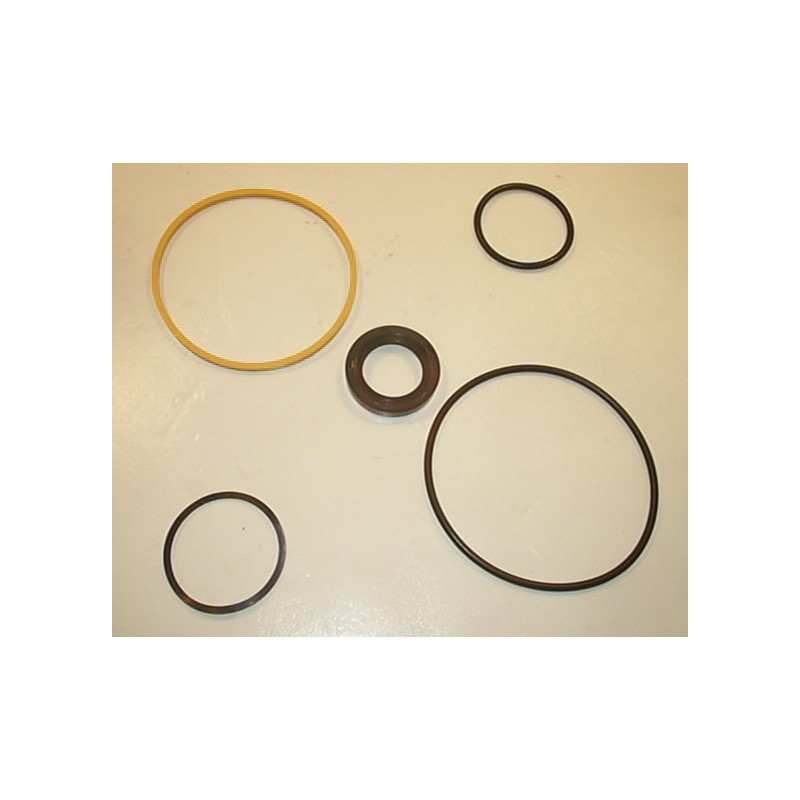 20V VITON SEAL KIT  981322N HYDRAULIC VANE PUMP COMPONENT