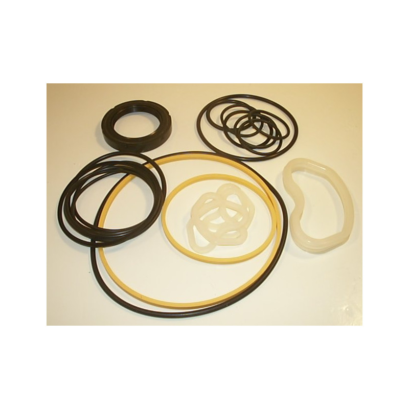 2520VQ VITON SEAL KIT  920043N DOUBLE SEALHYDRAULIC VANE PUMP COMPONENT