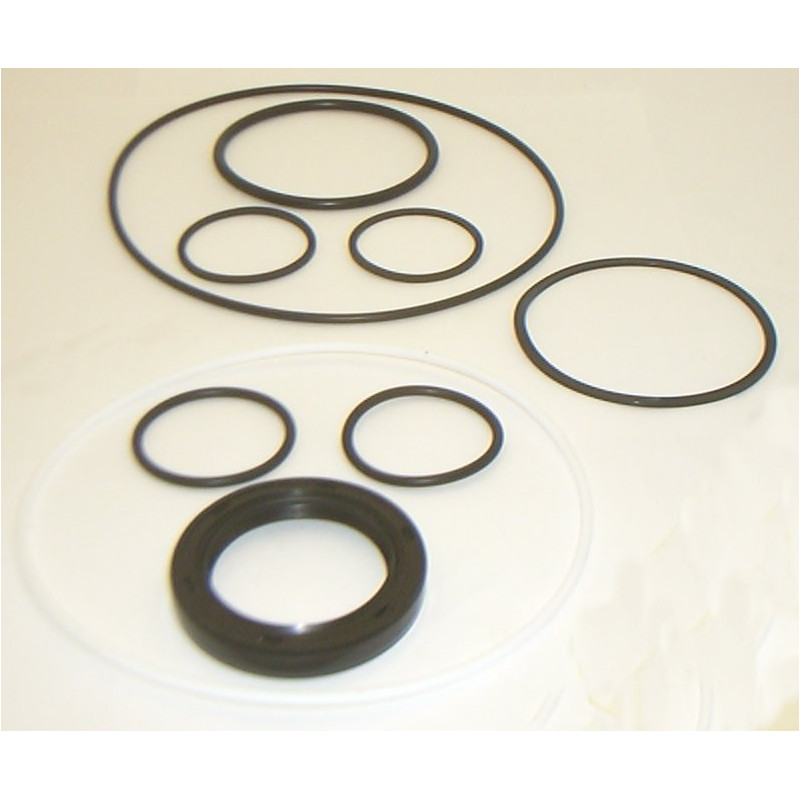 35M MOTOR BUNA SEAL KIT 413434N FOR HYDRAULIC VANE PUMP