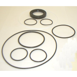 45M MOTOR BUNA SEAL KIT 923106NHYDRAULIC VANE PUMP COMPONENT