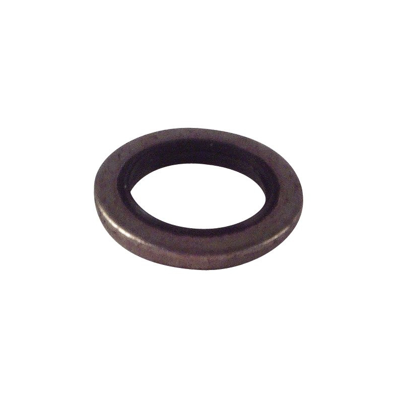 3/8 BSP BONDED SEAL
