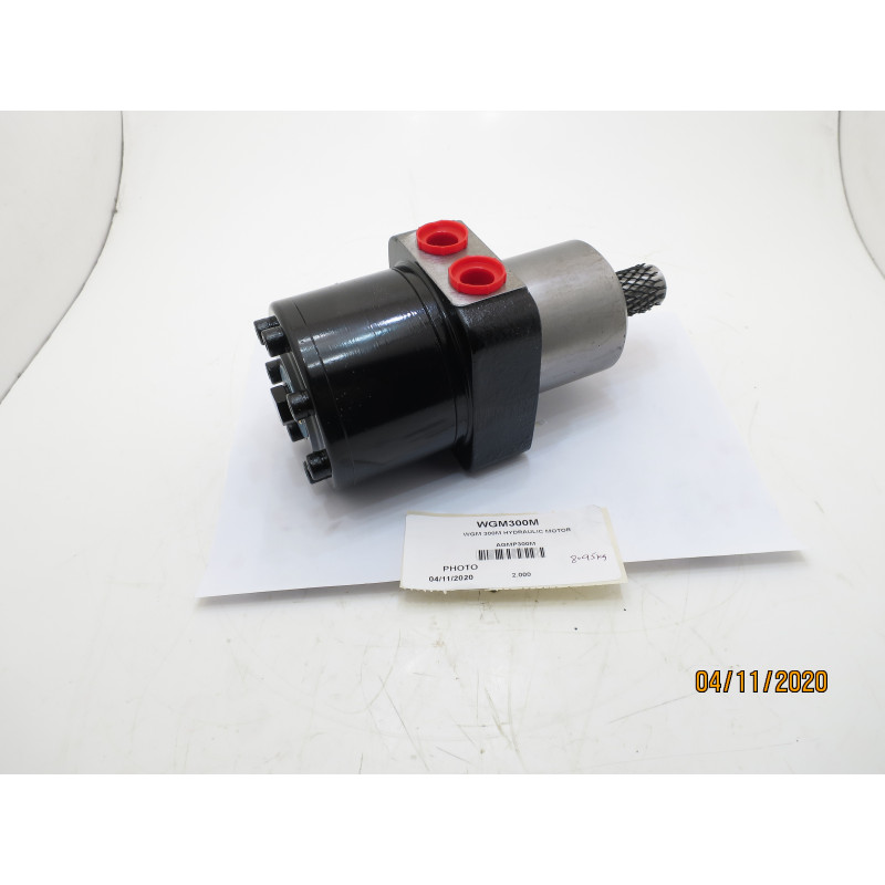 WGM 300M HYDRAULIC MOTOR