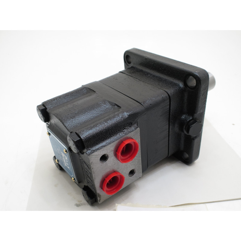 WMSW 250 HI-TORQUE MOTOR PARALLEL