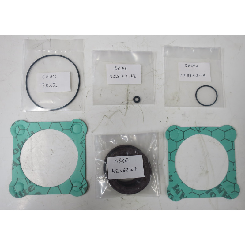 23 & 32CC/REV BENT AXIS SEAL KIT
