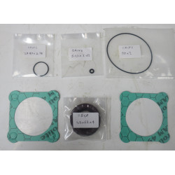 45,56 63CC/REV BENT AXIS SEAL KIT