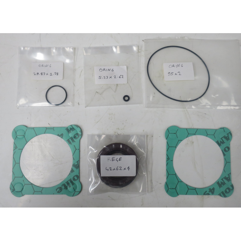 45,56 63CC/REV BENT AXIS SEAL KIT