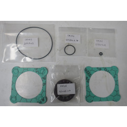 80 & 90CC/REV BENT AXIS SEAL KIT