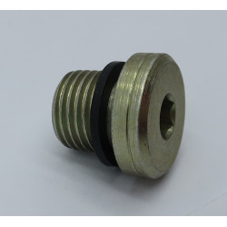 PLUG BLANKING 1/4'' BSP